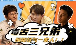 恶毒的兄弟在线观看,在线观看揭示家族复仇的黑暗面